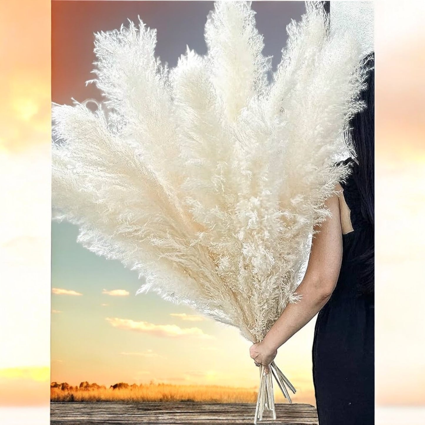 Pampas Grass 46’inch